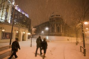 bradford snow 14 sm.jpg